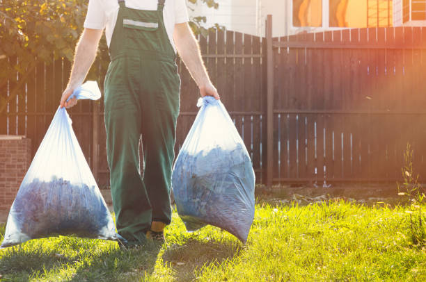 Best Shed Removal  in Cold Spring Harbor, NY